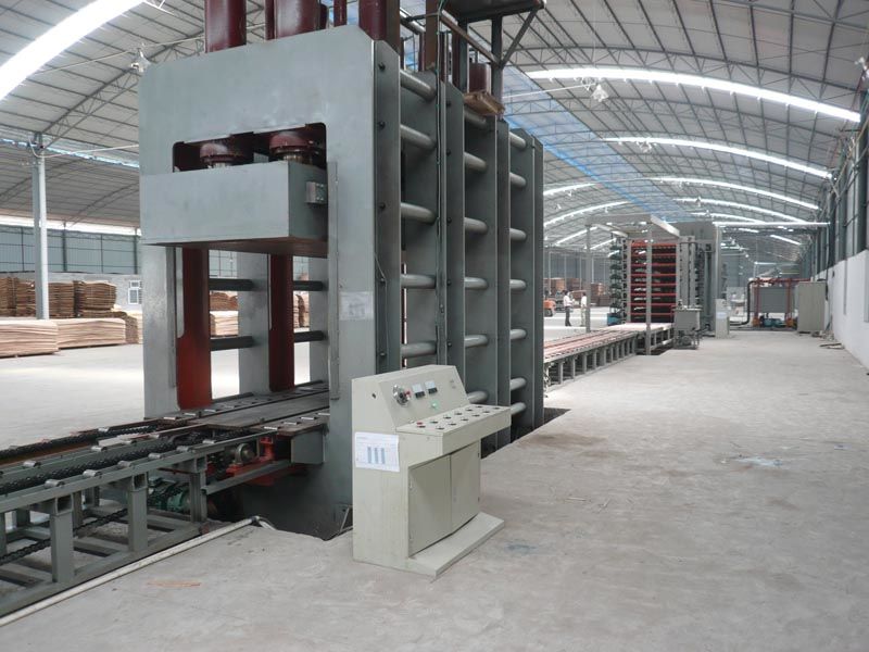Automatic LVL Line factory
